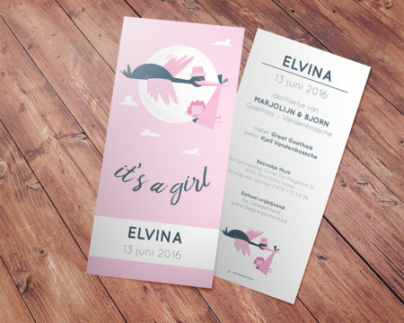 Geboortekaartje Elvina